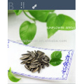 sunflower seeds 5009 363 361601 export to mideast market